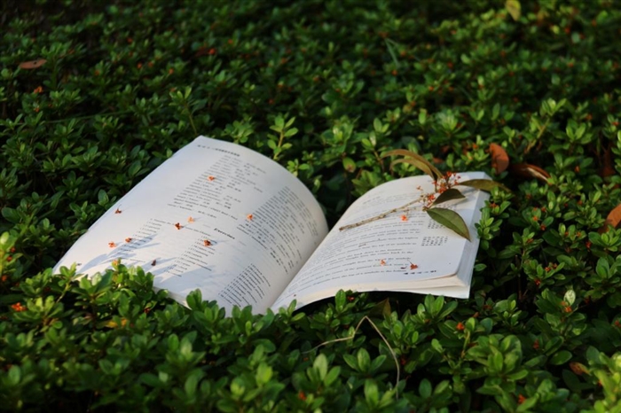 图片2.png 图片2.png