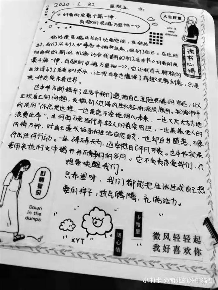 WechatIMG276.jpeg WechatIMG276.jpeg