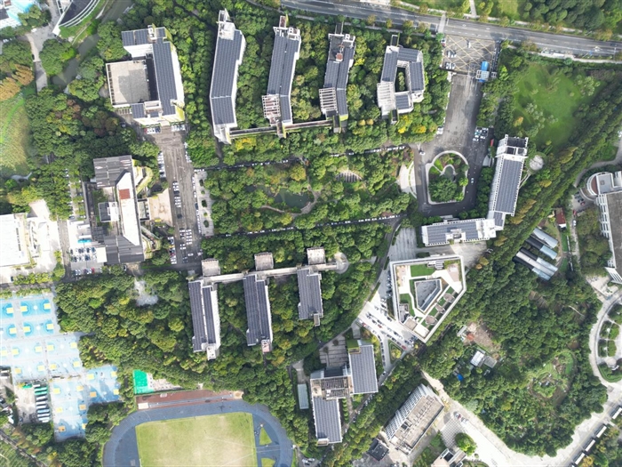 图片13.png 图片13.png